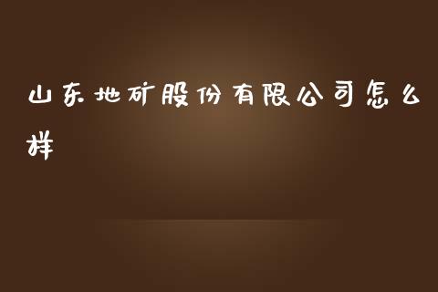 山东地矿股份有限公司怎么样_https://cj002.lansai.wang_理财问答_第1张
