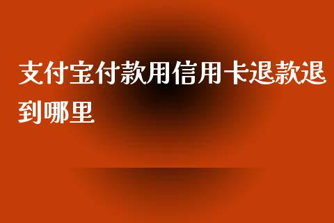 支付宝付款用信用卡退款退到哪里_https://cj002.lansai.wang_理财问答_第1张
