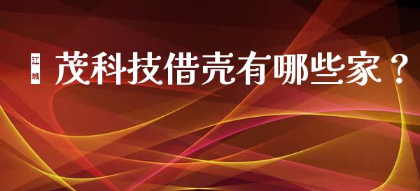 鑫茂科技借壳有哪些家？_https://cj002.lansai.wang_会计问答_第1张