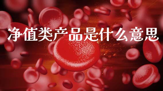 净值类产品是什么意思_https://cj002.lansai.wang_金融问答_第1张