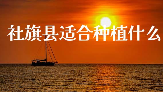 社旗县适合种植什么_财经百问_第1张_财经百问网 社旗县适合种植什么_https://cj002.lansai.wang_财经百问_第1张