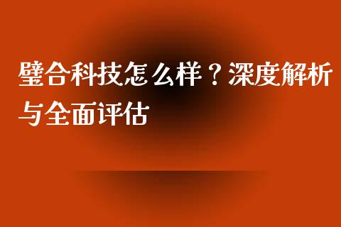 璧合科技怎么样?深度解析与全面评估_理财问答_第1张_财经百问网 璧合科技怎么样?深度解析与全面评估_https://cj002.lansai.wang_理财问答_第1张