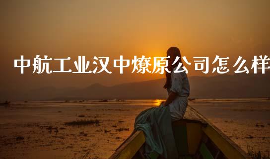 中航工业汉中燎原公司怎么样_https://cj002.lansai.wang_期货问答_第1张