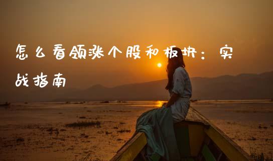 怎么看领涨个股和板块：实战指南_https://cj002.lansai.wang_财经百问_第1张
