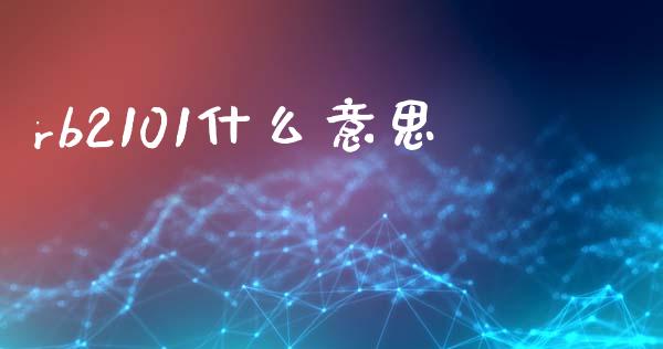 rb2101什么意思_https://cj002.lansai.wang_会计问答_第1张