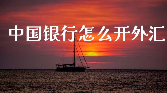 中国银行怎么开外汇_https://cj002.lansai.wang_财经问答_第1张