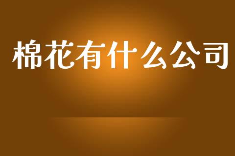 棉花有什么公司_https://cj002.lansai.wang_财经问答_第1张
