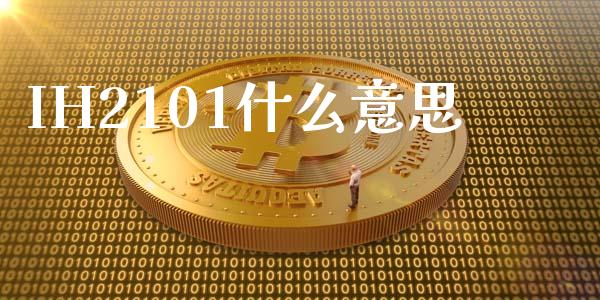 IH2101什么意思_保险问答_第1张_财经百问网 IH2101什么意思_https://cj002.lansai.wang_保险问答_第1张