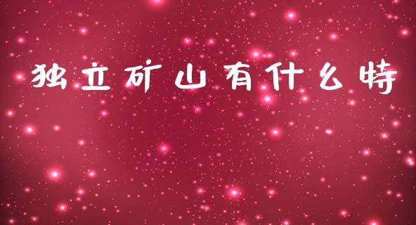 独立矿山有什么特_https://cj002.lansai.wang_会计问答_第1张