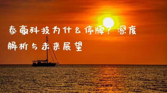 泰豪科技为什么停牌？深度解析与未来展望_https://cj002.lansai.wang_期货问答_第1张