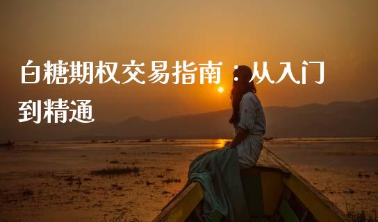 白糖期权交易指南：从入门到精通_https://cj002.lansai.wang_理财问答_第1张