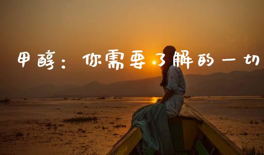 甲醇：你需要了解的一切_https://cj002.lansai.wang_金融问答_第1张