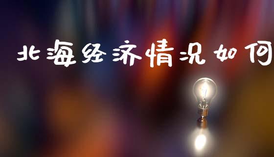 北海经济情况如何_理财问答_第1张_财经百问网 北海经济情况如何_https://cj002.lansai.wang_理财问答_第1张
