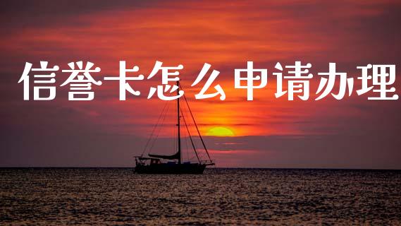 信誉卡怎么申请办理_https://cj002.lansai.wang_金融问答_第1张