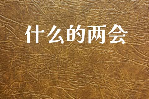 什么的两会_https://cj002.lansai.wang_理财问答_第1张
