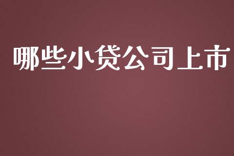 哪些小贷公司上市_股市问答_第1张_财经百问网 哪些小贷公司上市_https://cj002.lansai.wang_股市问答_第1张