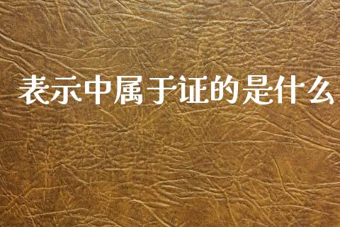 表示中属于证的是什么_https://cj002.lansai.wang_会计问答_第1张