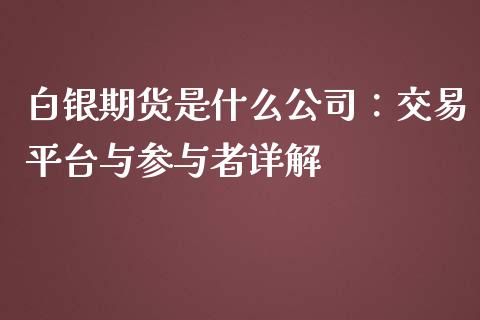 白银期货是什么公司：交易平台与参与者详解_https://cj002.lansai.wang_理财问答_第1张