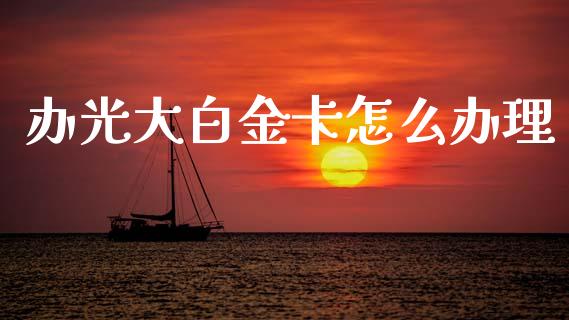 办光大白金卡怎么办理_https://cj002.lansai.wang_金融问答_第1张