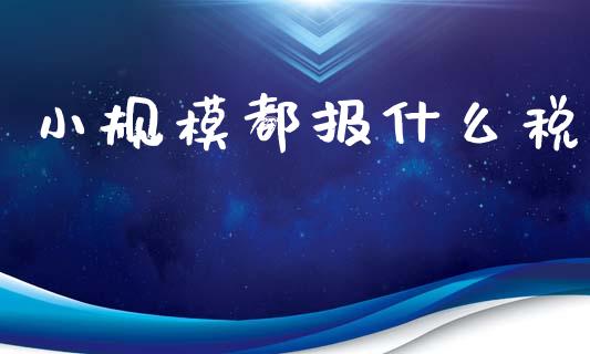 小规模都报什么税_https://cj002.lansai.wang_会计问答_第1张