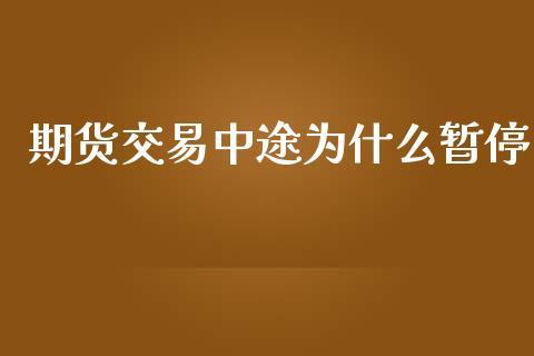 期货交易中途为什么暂停_https://cj002.lansai.wang_会计问答_第1张