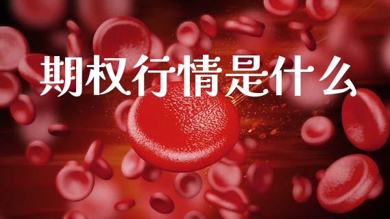 期权行情是什么_https://cj002.lansai.wang_会计问答_第1张