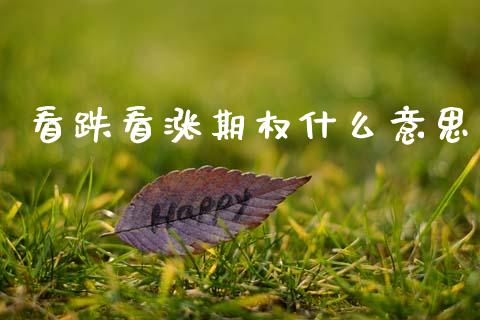 看跌看涨期权什么意思_https://cj002.lansai.wang_金融问答_第1张