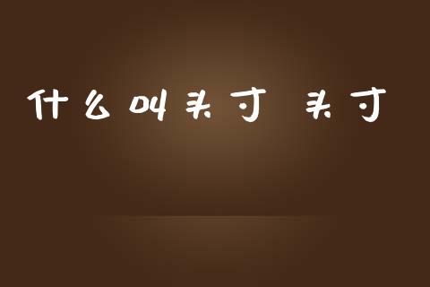 什么叫头寸 头寸_https://cj002.lansai.wang_期货问答_第1张