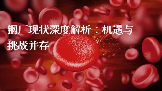 钢厂现状深度解析：机遇与挑战并存_https://cj002.lansai.wang_理财问答_第1张
