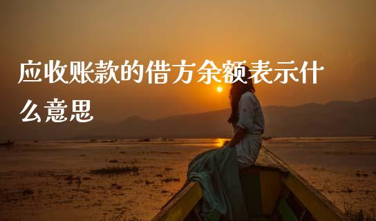 应收账款的借方余额表示什么意思_https://cj002.lansai.wang_会计问答_第1张