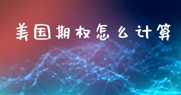 美国期权怎么计算_https://cj002.lansai.wang_理财问答_第1张