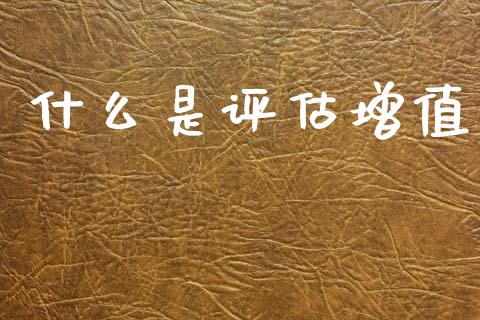 什么是评估增值_https://cj002.lansai.wang_会计问答_第1张