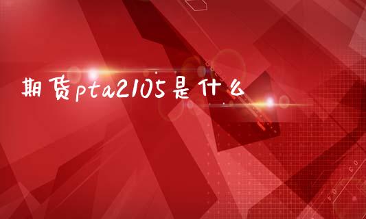 期货pta2105是什么_https://cj002.lansai.wang_保险问答_第1张