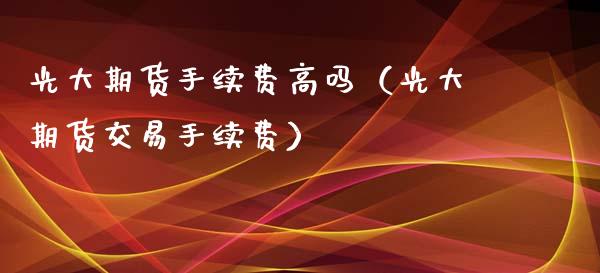 光大期货手续费高吗（光大期货交易手续费）_https://cj002.lansai.wang_保险问答_第1张