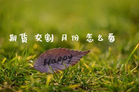 期货 交割 月份 怎么看_https://cj002.lansai.wang_期货问答_第1张