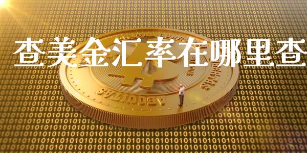 查美金汇率在哪里查_https://cj002.lansai.wang_财经问答_第1张