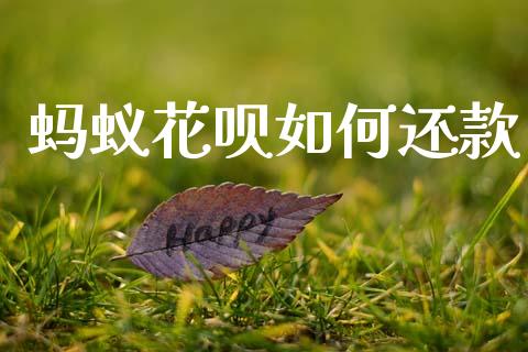 蚂蚁花呗如何还款_https://cj002.lansai.wang_财经百问_第1张