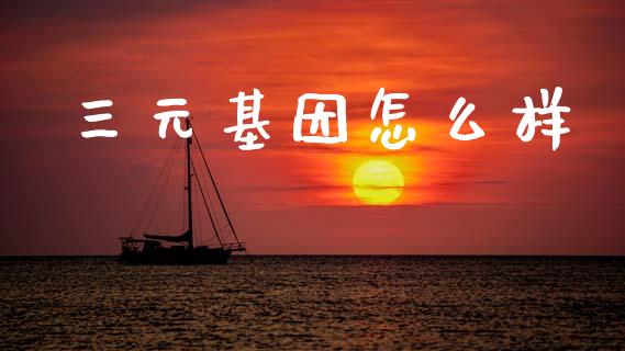 三元基因怎么样_https://cj002.lansai.wang_理财问答_第1张