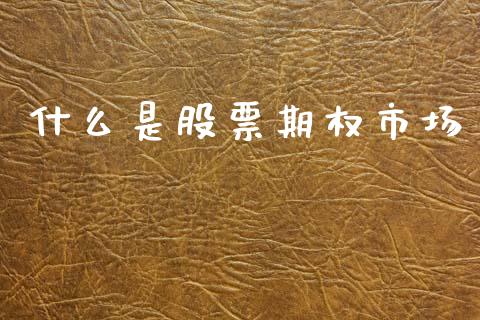 什么是股票期权市场_https://cj002.lansai.wang_期货问答_第1张