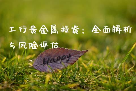 工行贵金属投资：全面解析与风险评估_https://cj002.lansai.wang_保险问答_第1张