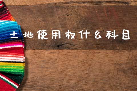 土地使用权什么科目_https://cj002.lansai.wang_会计问答_第1张