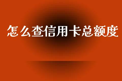 怎么查信用卡总额度_https://cj002.lansai.wang_财经百问_第1张