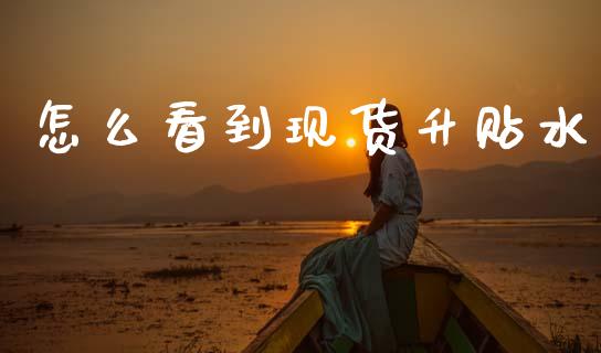 怎么看到现货升贴水_https://cj002.lansai.wang_期货问答_第1张