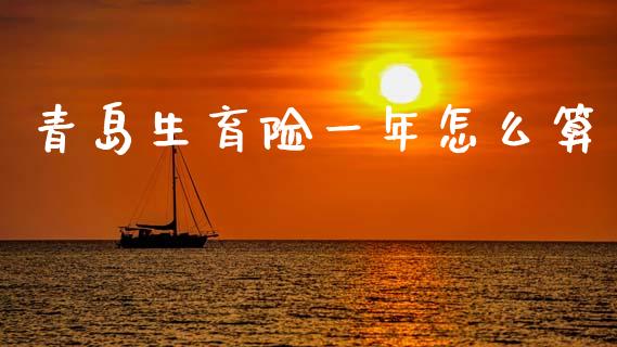 青岛生育险一年怎么算_https://cj002.lansai.wang_保险问答_第1张