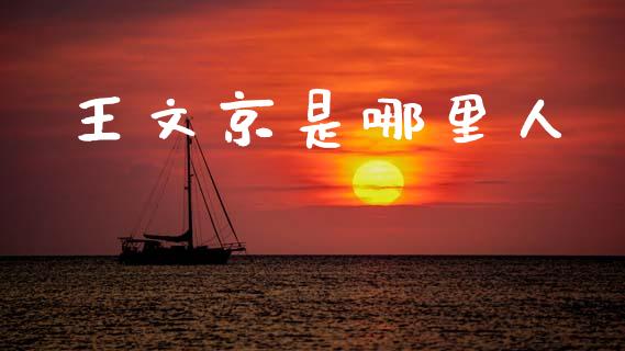 王文京是哪里人_https://cj002.lansai.wang_股市问答_第1张