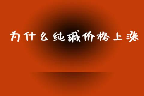 为什么纯碱价格上涨_https://cj002.lansai.wang_期货问答_第1张
