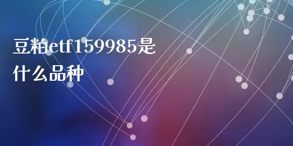 豆粕etf159985是什么品种_https://cj002.lansai.wang_期货问答_第1张