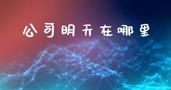 公司明天在哪里_https://cj002.lansai.wang_会计问答_第1张