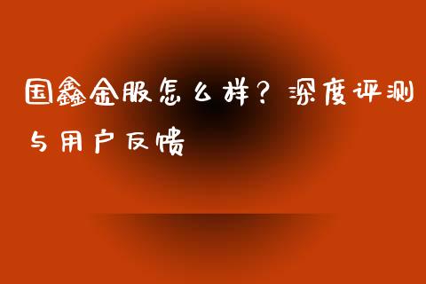 国鑫金服怎么样？深度评测与用户反馈_https://cj002.lansai.wang_理财问答_第1张