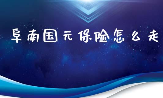 阜南国元保险怎么走_https://cj002.lansai.wang_保险问答_第1张